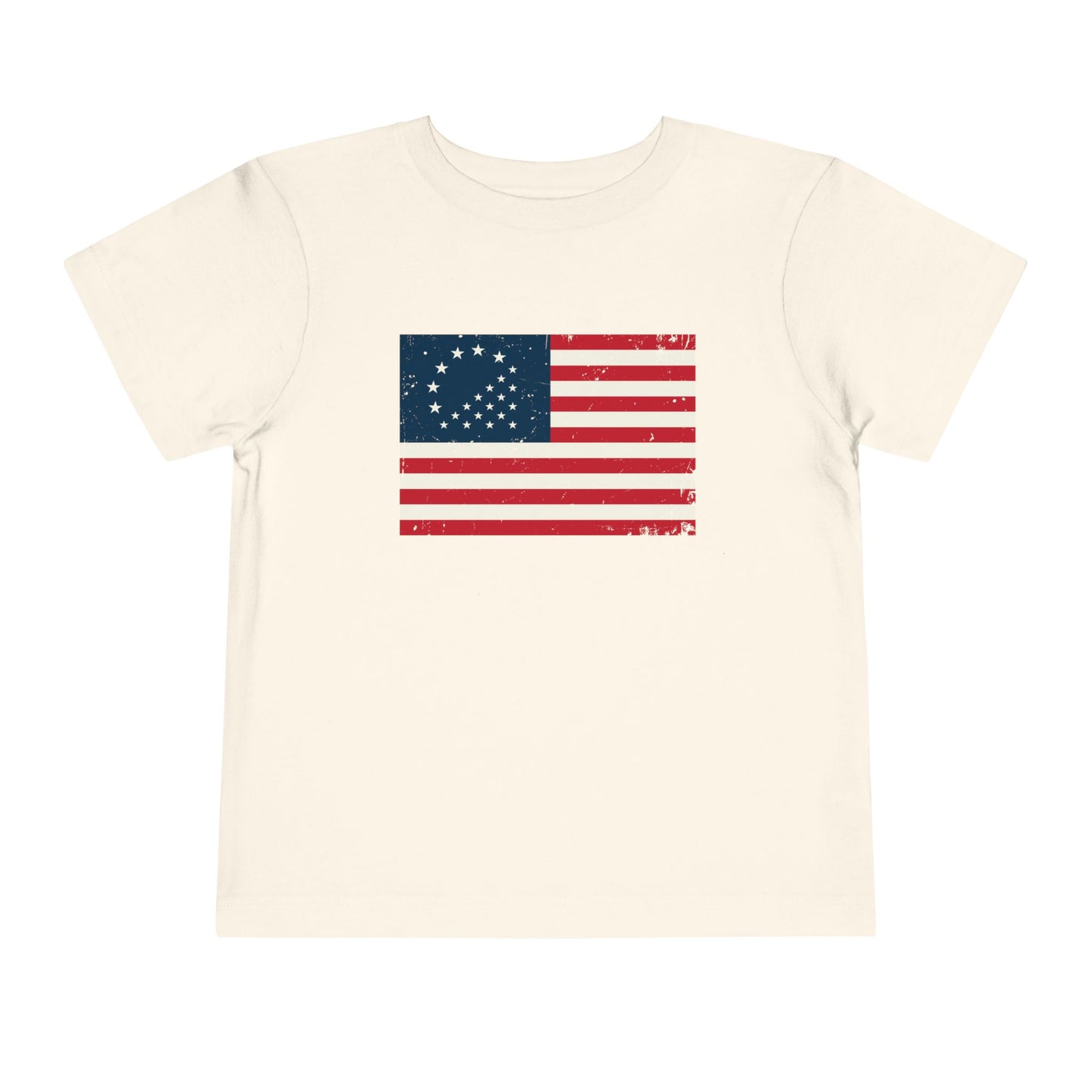 America 250 Heritage Flag Toddler Tee - Family Matching