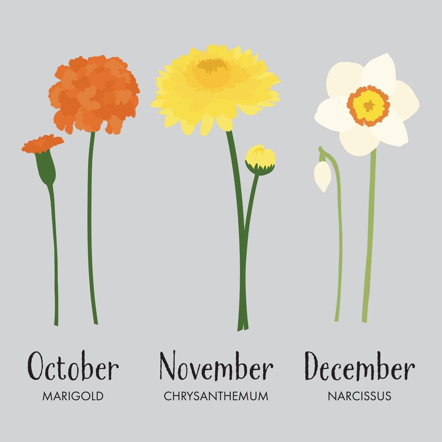 Personalized Birth Flower Print